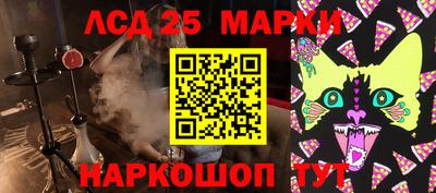 крисы Славгород