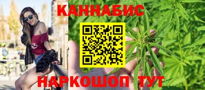 крисы Славгород