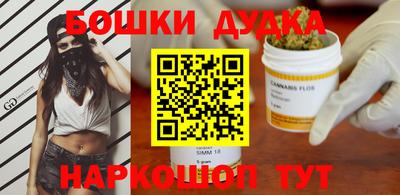 крисы Славгород