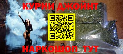 крисы Славгород