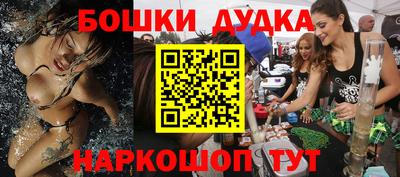 крисы Славгород