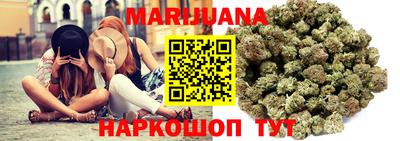 крисы Славгород