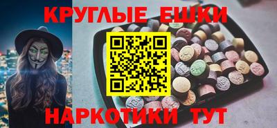 крисы Славгород