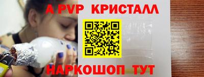 крисы Славгород